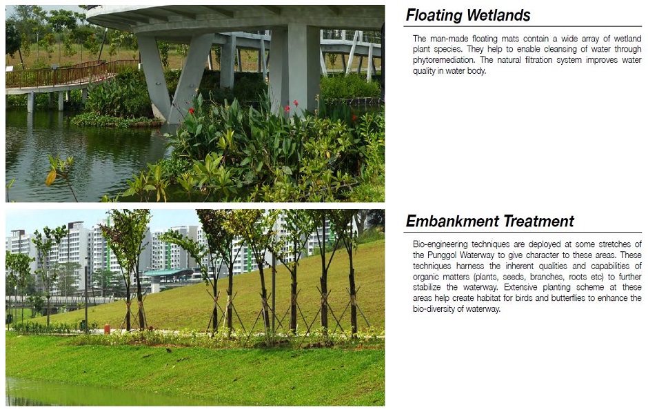 My Waterway at Punggol - Floating Wetlands, Embankment Treatment