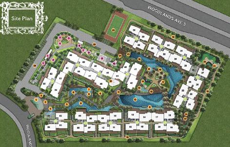Forestville EC Site Plan
