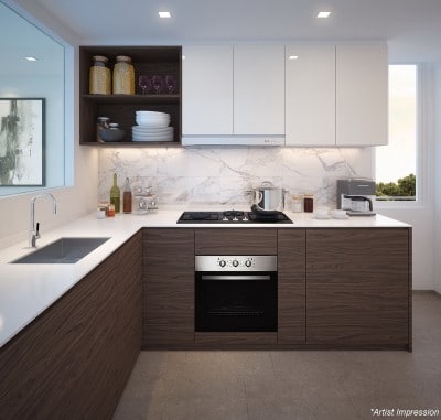The Terrace EC Showflat