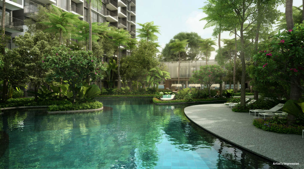 The Visionaire EC Amazon